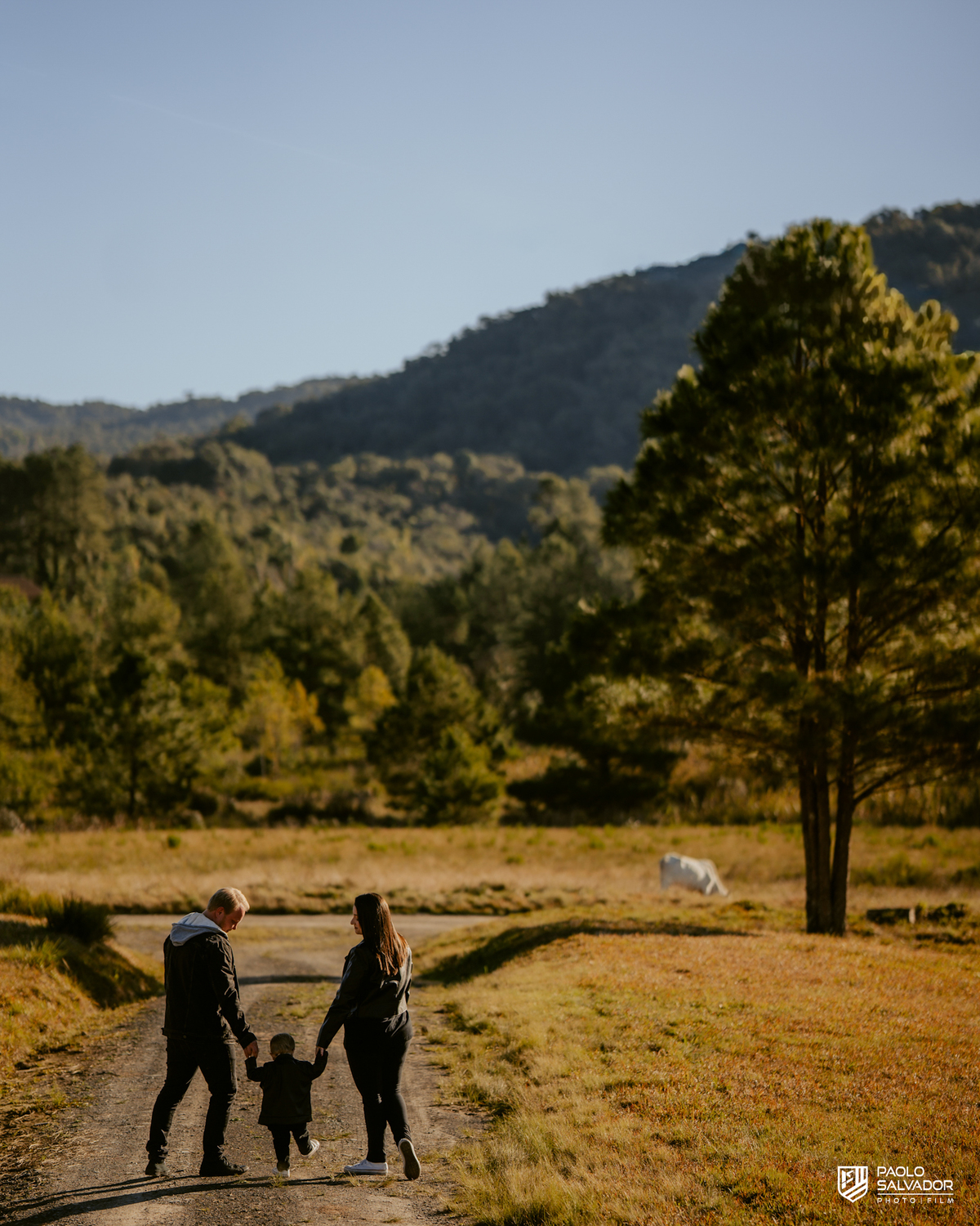Ensaio pré wedding em Benedito Novo SC na Cachoeira do Zinco, casal com filho caminhando na natureza, fotógrafo de casamento Santa Catarina, ensaio pré casamento em família, fotos ao ar livre Serra Catarinense