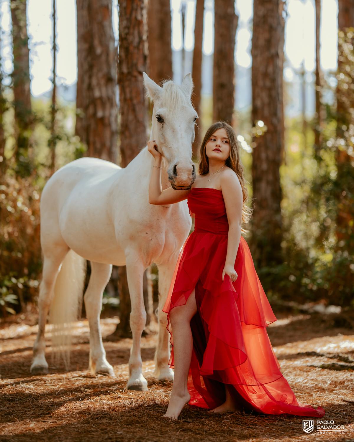 Ensaio de 15 anos em Florianópolis na Praia do Moçambique com cavalo, debutante Priscila em vestido vermelho na floresta, fotógrafo de debutante Santa Catarina, ensaio feminino com cavalo na praia SC, fotos de 15 anos cinematográficas
