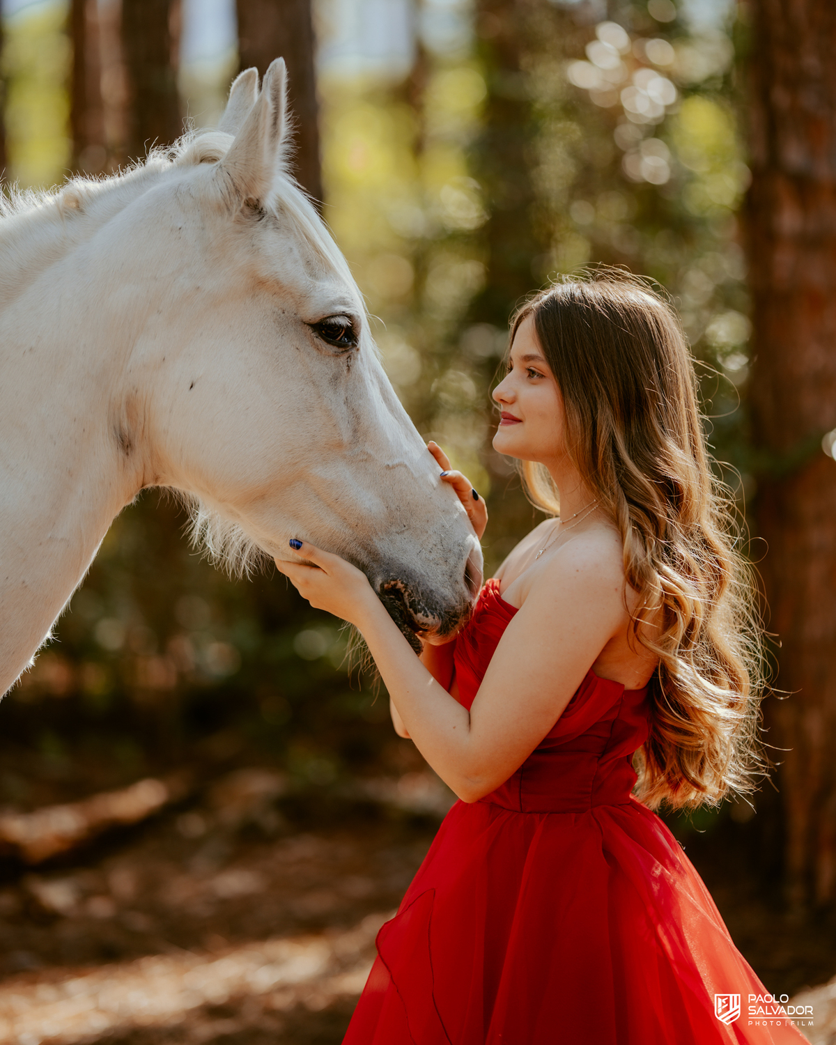 Ensaio de 15 anos em Florianópolis na Praia do Moçambique com cavalo, debutante Priscila em vestido vermelho na floresta, fotógrafo de debutante Santa Catarina, ensaio feminino com cavalo na praia SC, fotos de 15 anos cinematográficas