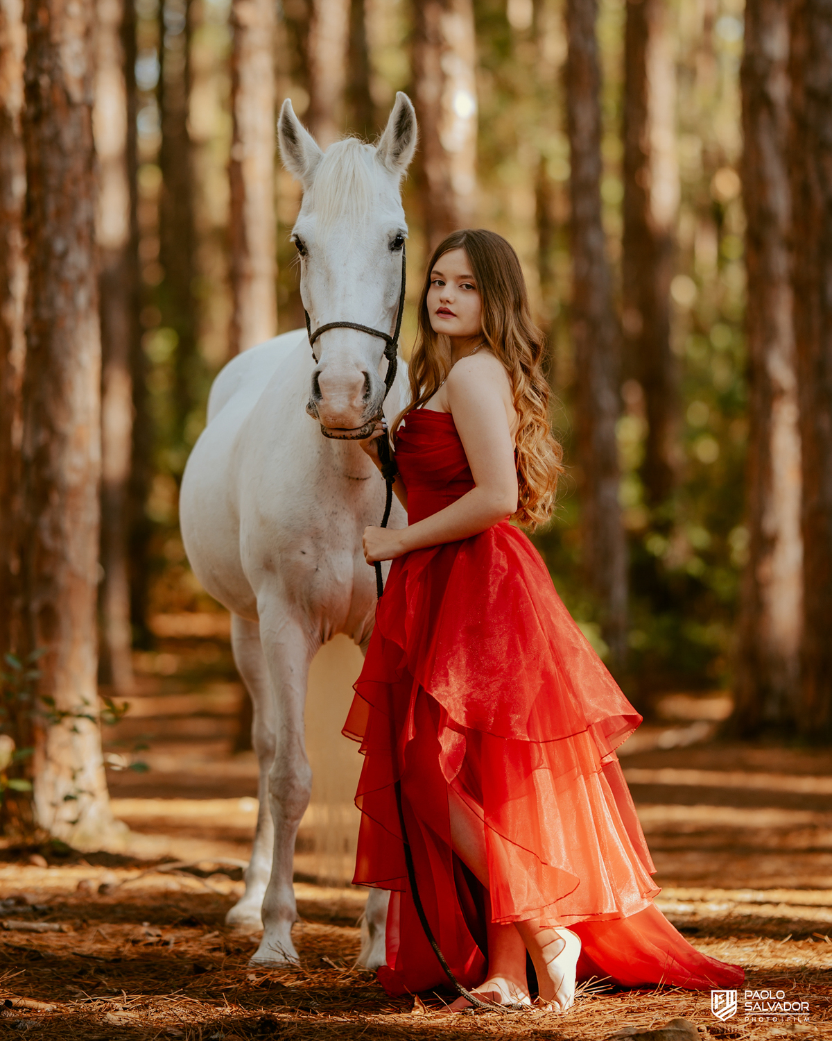 Ensaio debutante com cavalo em Florianópolis SC, menina com vestido vermelho interagindo com cavalo branco na floresta, fotógrafo de 15 anos Santa Catarina, ensaio feminino natural e romântico Praia do Moçambique