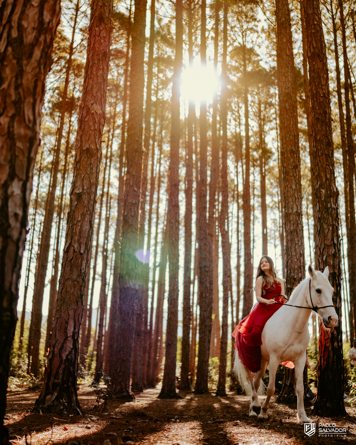 Ensaio debutante com cavalo em Florianópolis SC, menina com vestido vermelho interagindo com cavalo branco na floresta, fotógrafo de 15 anos Santa Catarina, ensaio feminino natural e romântico Praia do Moçambique