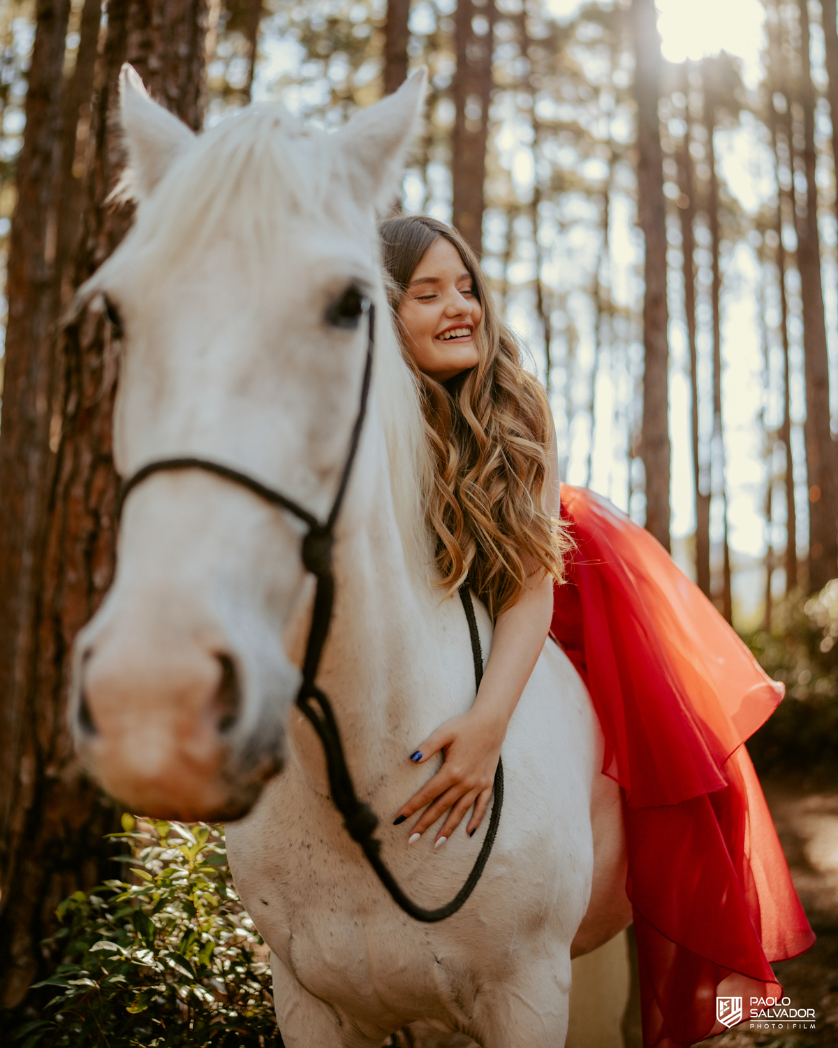 Ensaio debutante em Florianópolis com cavalo branco, menina com vestido vermelho em cenário natural na floresta, fotógrafo de 15 anos Santa Catarina, ensaio feminino elegante e cinematográfico