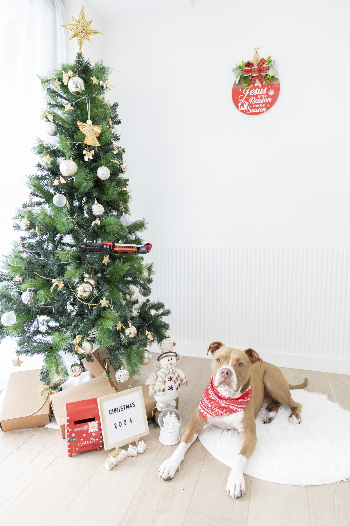 CHRISTMAS PHOTOGRAPHY SYDNEY