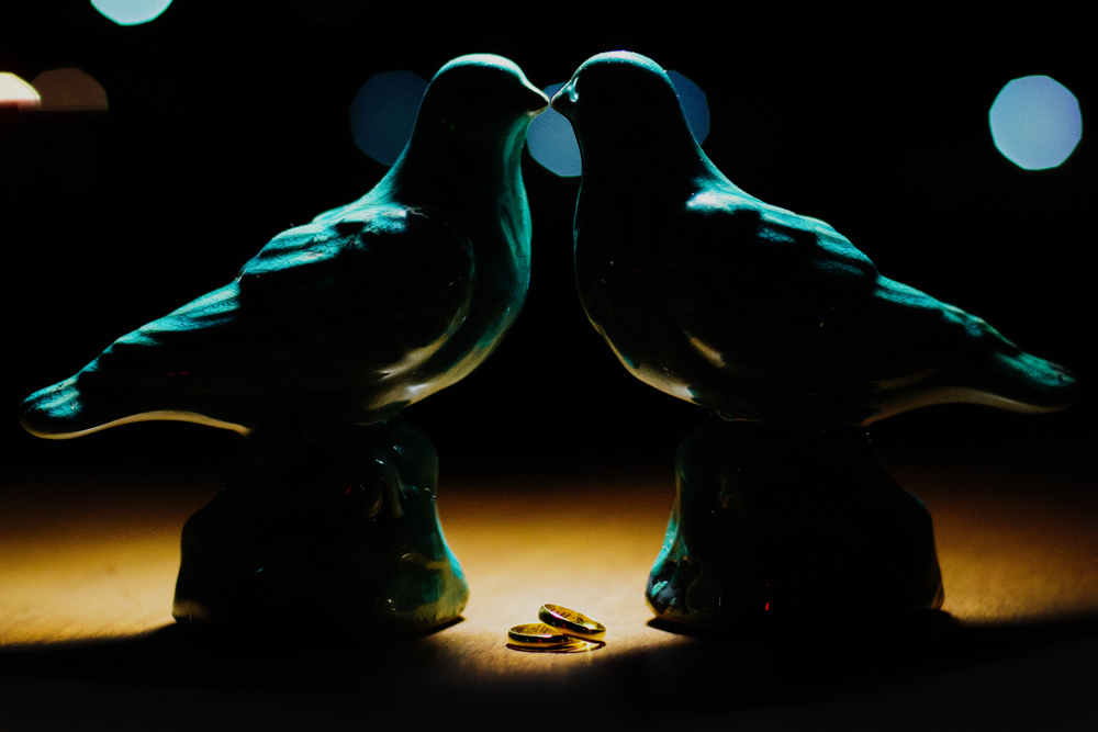 Imagem capa - FOTOGRAFIA DE ALIANÇA/ FOTOGRAFIA DE CASAMENTO por Estúdio Delfi