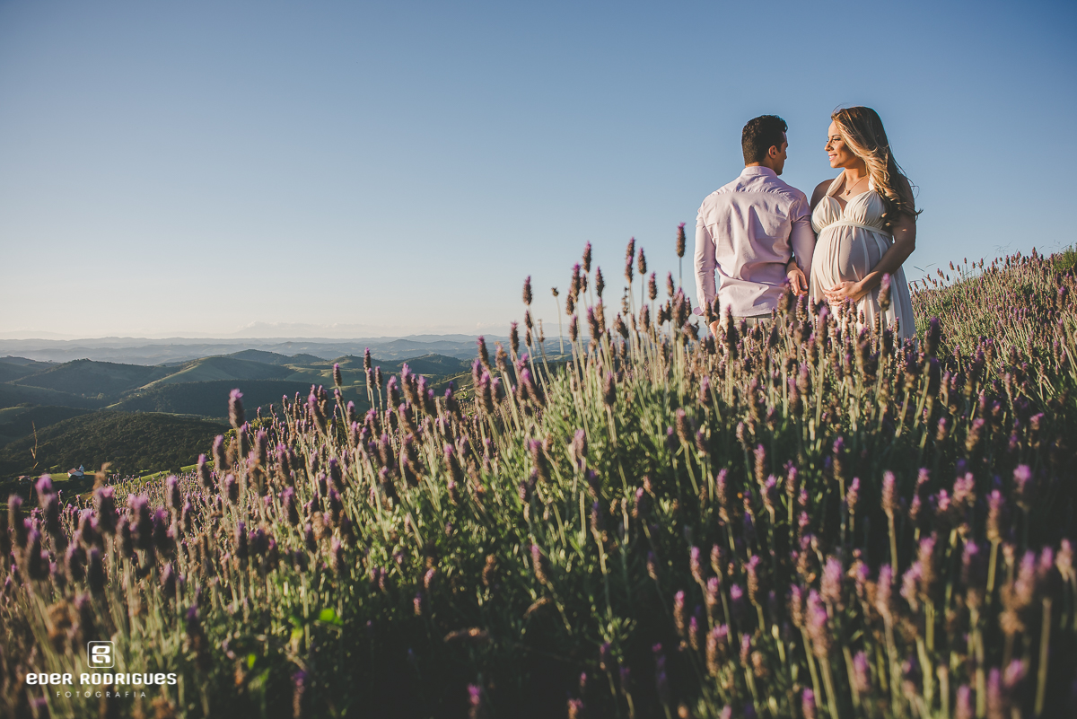 Grávida e papai nas flores de lavandas