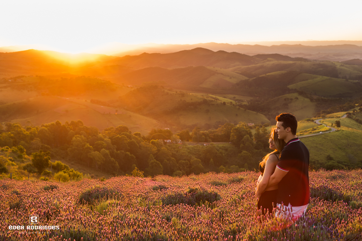 gestante e papai pôr do sol do Lavandário