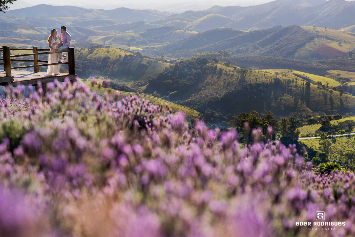 Casal nas flores de lavanda