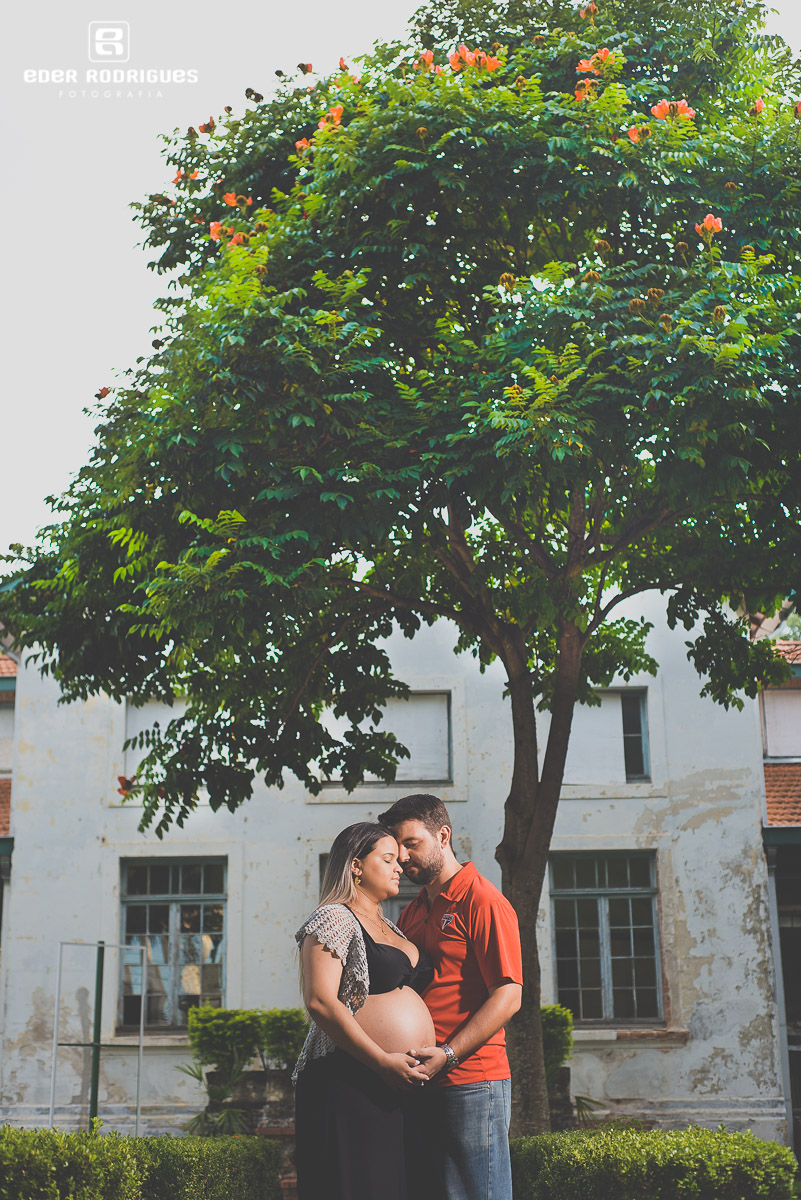 ensaio fotografico gestante em SJ,  fotos ensaio gestante , fotos ensaio gestante parque vicentina aranha-sj, book gestante, ensaio de grávida, mulher grávida, fotos de grávida, estou grávida, fotografo de casamentos taubate sp