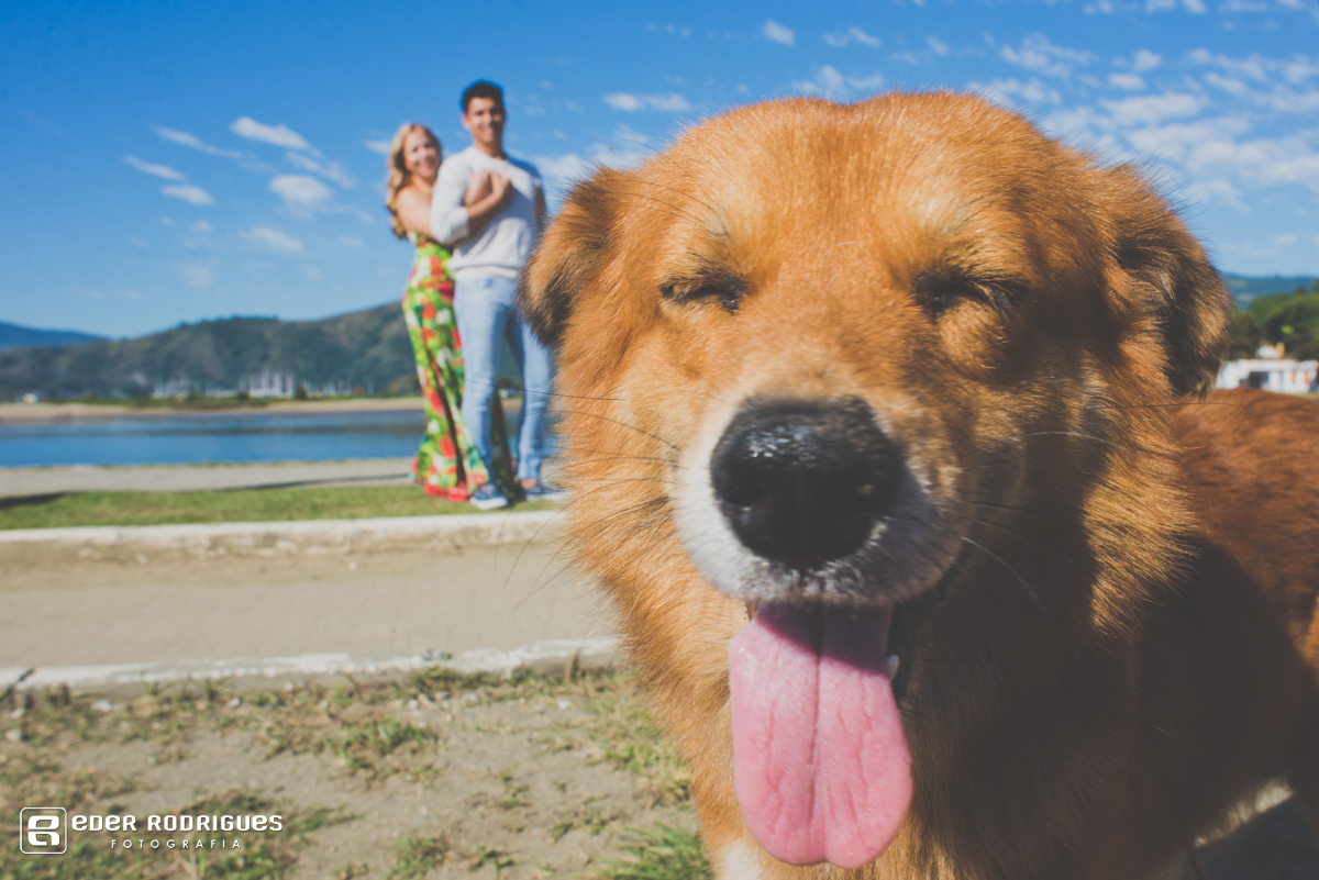 cachorro mostrando a lingua na foto dos noivos