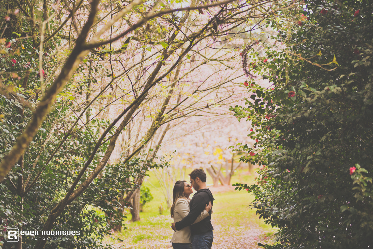 entre as flores de laranjeiras em campos do jordão