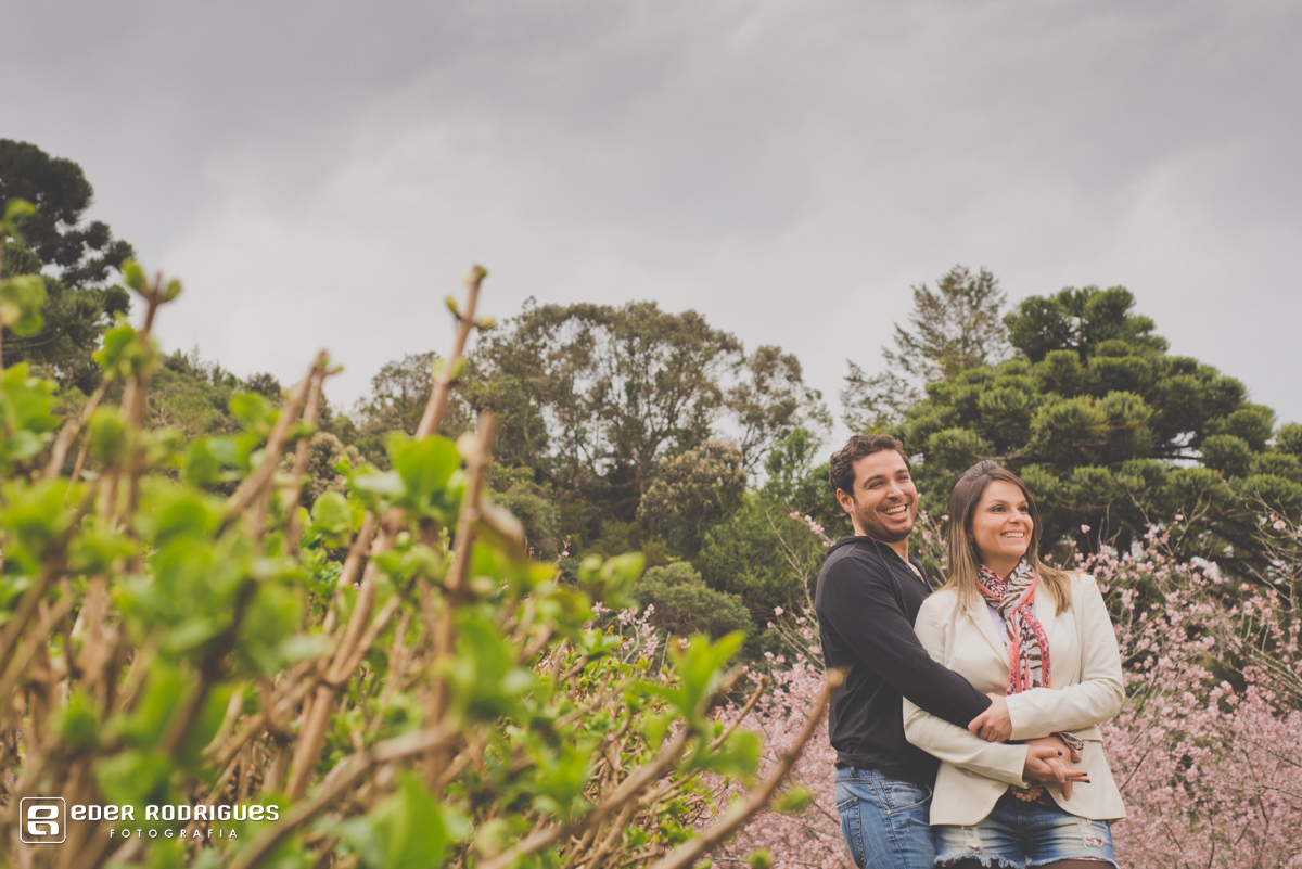 casal abraçado entre as flores de laranjeiras em campos do jordão