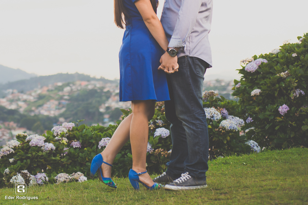 casal de mãos dadas nas flores em campos do jordão