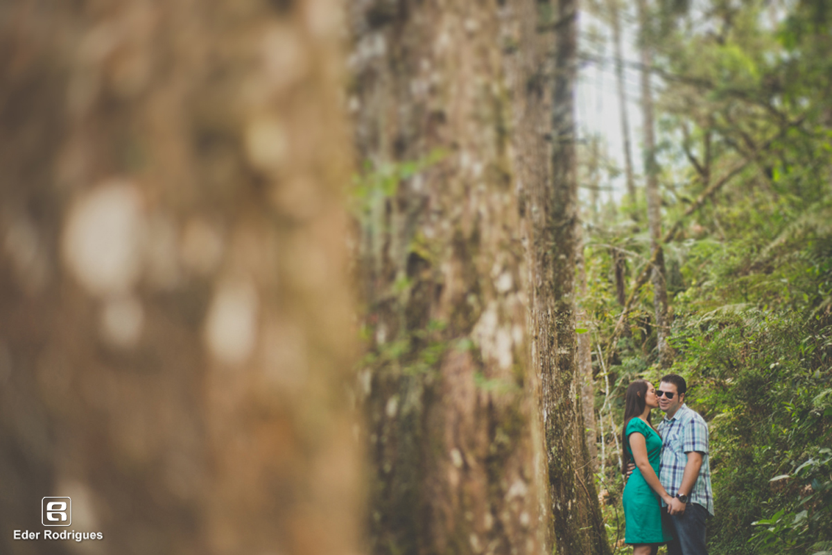  casal entre as arvores no horto florestal