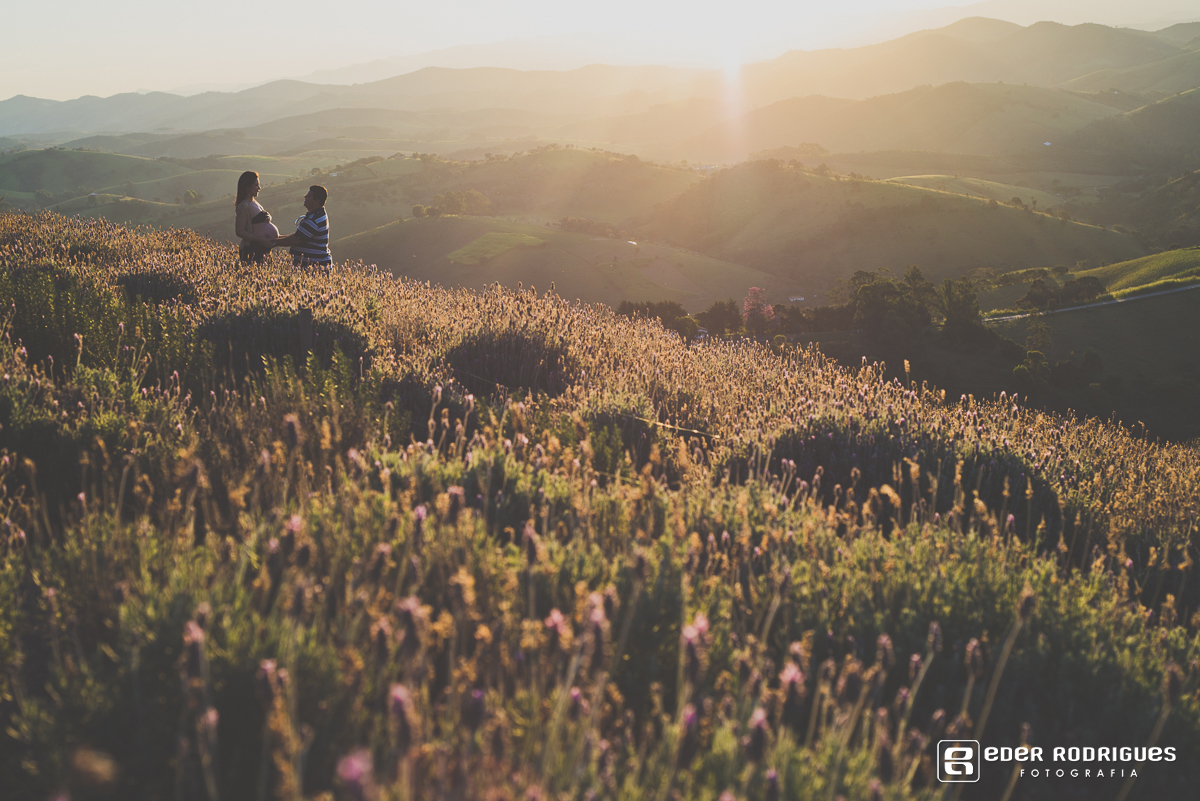 papai e mamae sorrindo no pôr do sol no lavandario