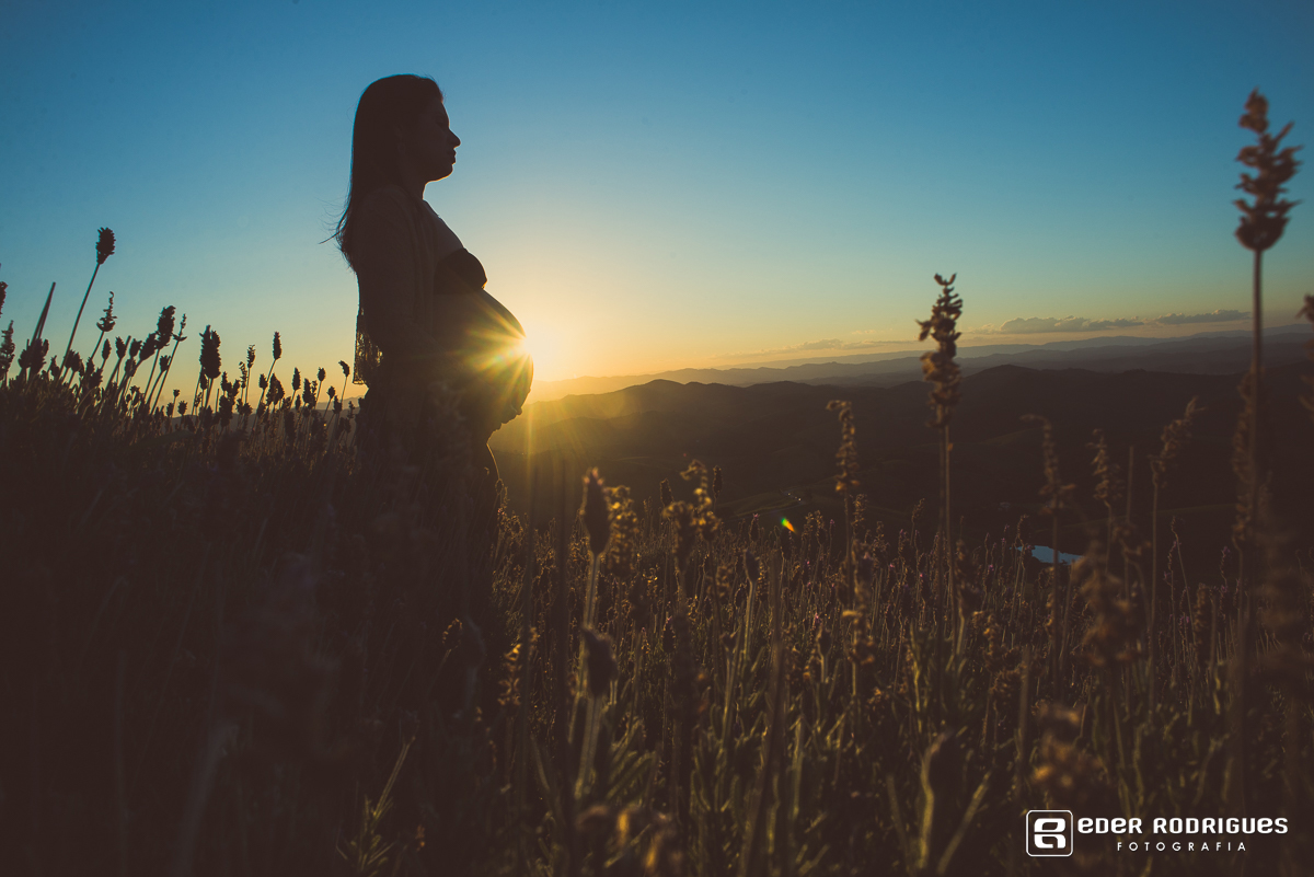 silueta da gravida na lavanda