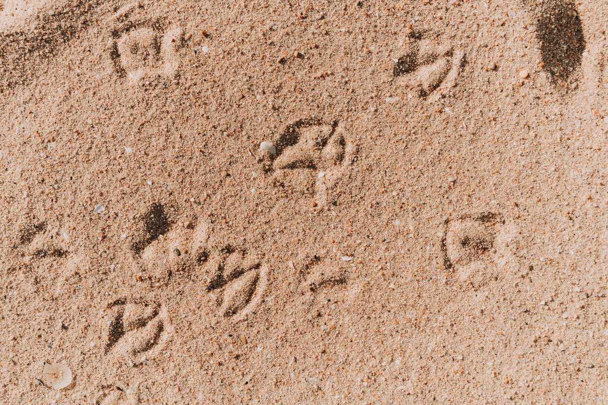 Fotografia de Casamento no Porto