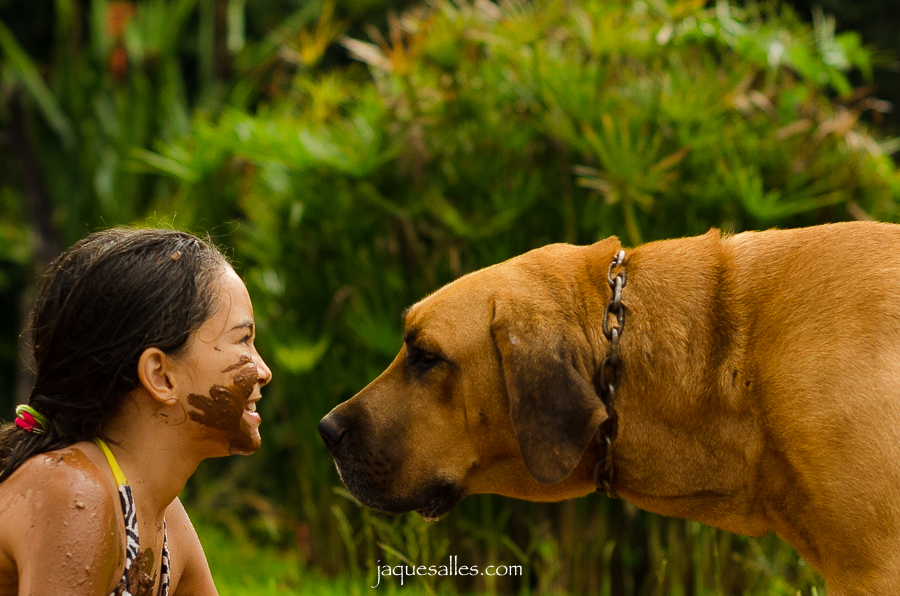 fotografia a menina e o cão