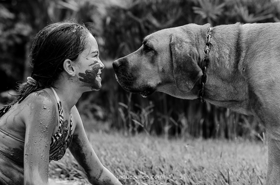Menina e cachorro se olham de perto e demostram amizade verdadeira