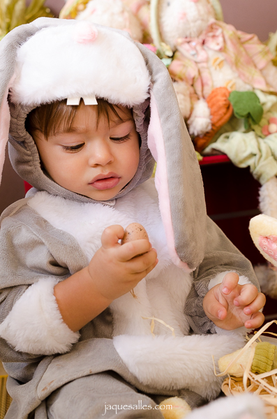 fotografa de aniversario infantil