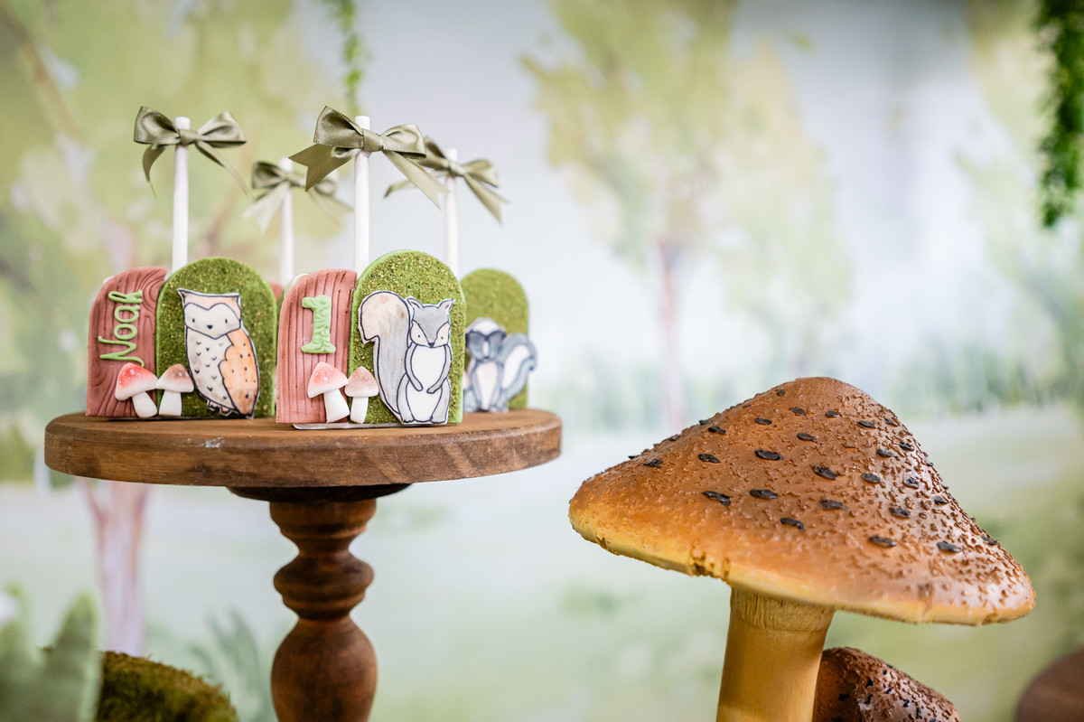 Aniversário Infantil de menino, festa de um ano com o tema bosque. Fotografia infantil no Rio de Janeiro um aninho do bebê Noah. Fotos da fotógrafa infantil Jaque Salles Fotografia.