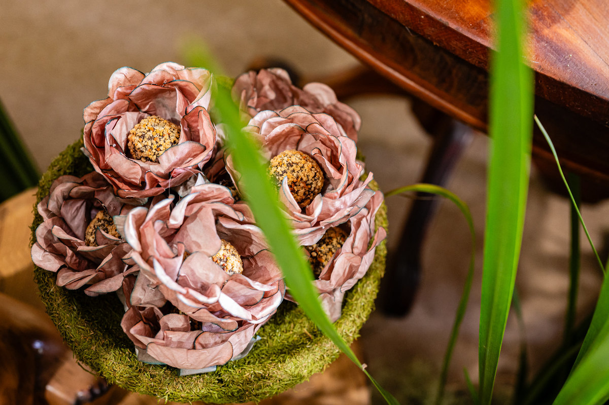 Aniversário Infantil de menino, festa de um ano com o tema bosque. Fotografia infantil no Rio de Janeiro um aninho do bebê Noah. Fotos da fotógrafa infantil Jaque Salles Fotografia.