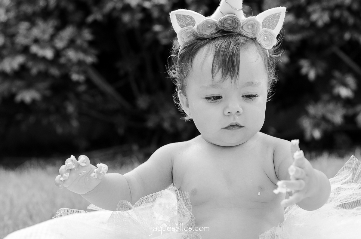 fotos de ensaio smash the cake