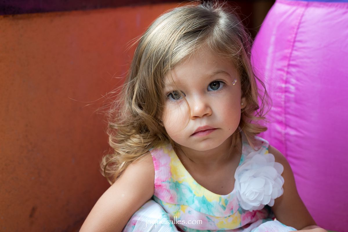foto festa infantil flamingo