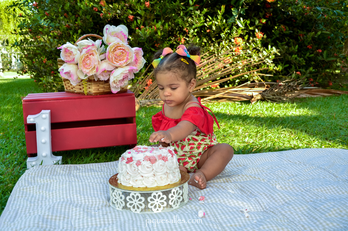 decoração ensaio smash the cake de menina