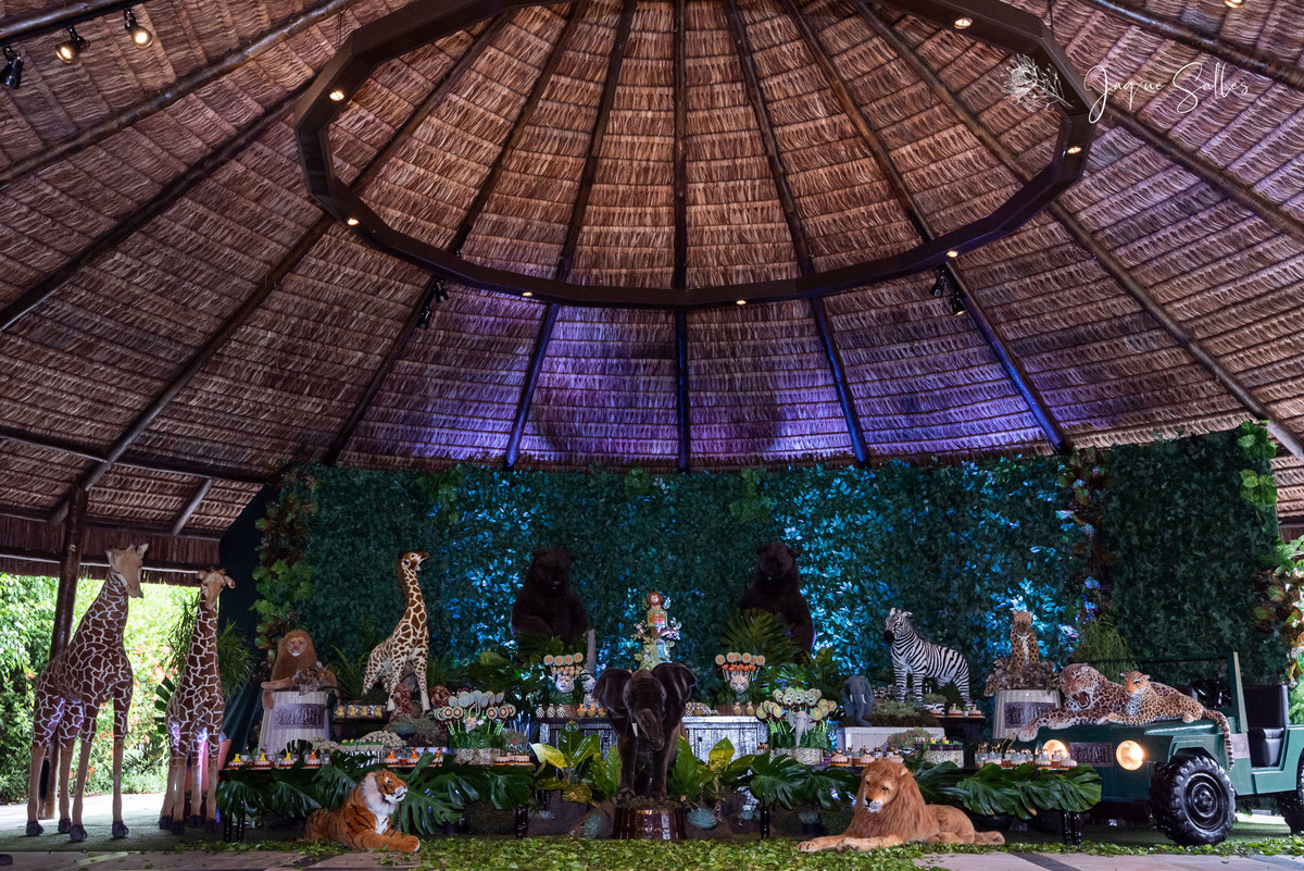 Festa infantil tema safari no lajedo vargem pequena rj