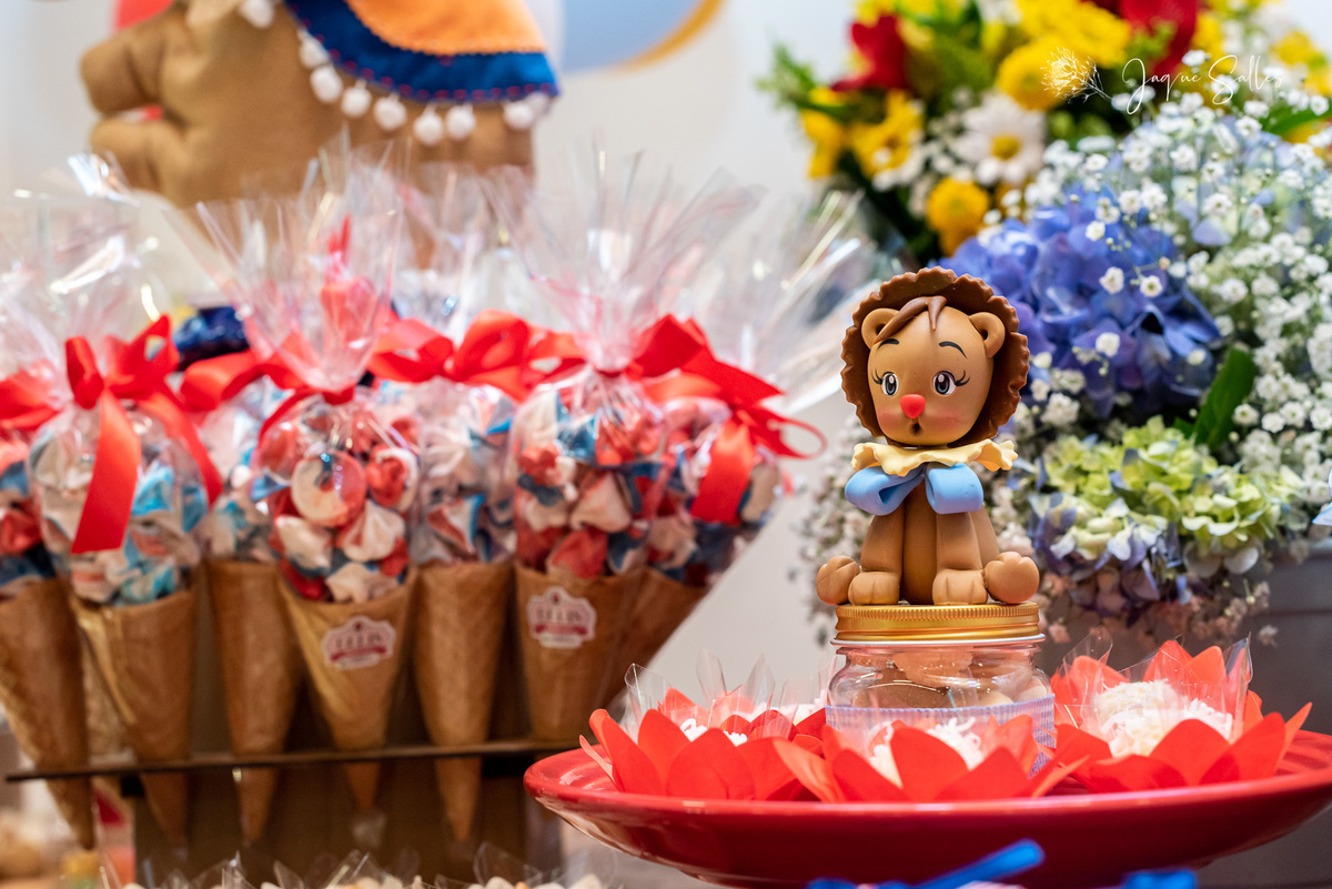 Idéias de decoração e bolo para festa circo vermelho menino. Fotografia de Jaque Salles