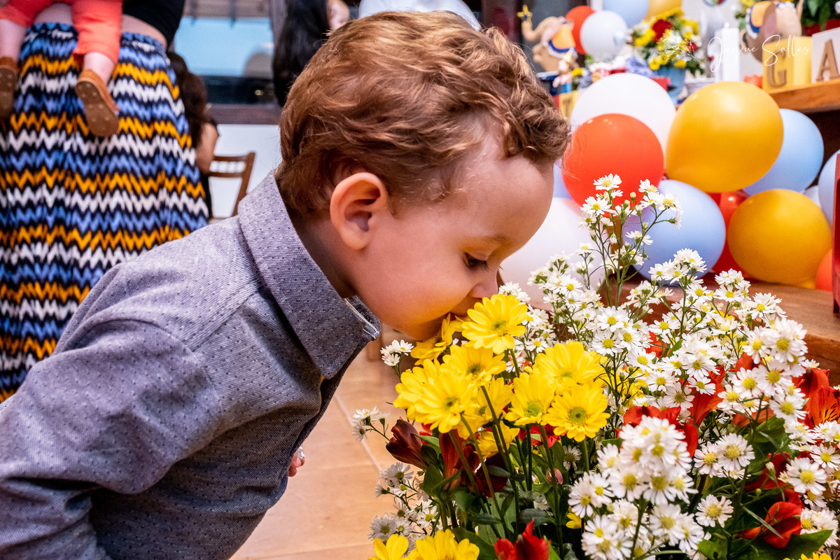 A Festa de Aniversário dos Gêmeos Arthur e Gabriel aconteceu no Hotel Vila Bavária em Itaipava - Petrópolis. O tema do Aniversário dos Gêmeos foi de circo e teve Jaque Salles Fotografia como a Fotógrafa principal do Evento.