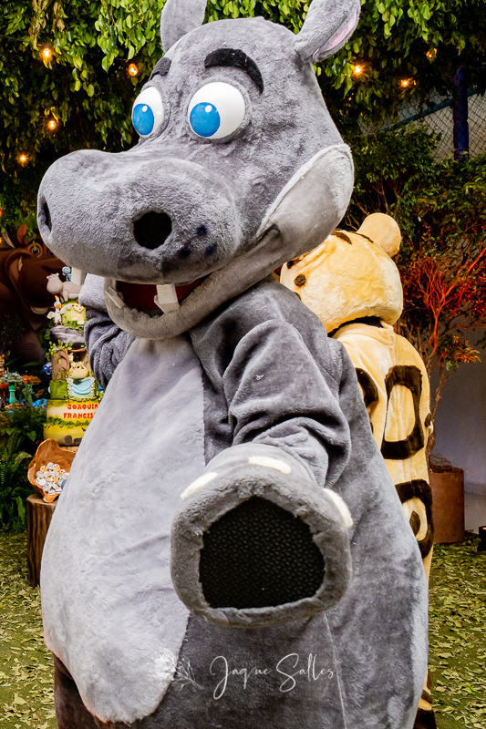 Joaquim faz 4 anos e comemora seu aniversário na Folia Encantada, Barra da Tijuca - RJ. A inspiração para o tema da festa vem da Disney. A Guarda do Leão foi toda idealizada pela decoradora Leticia Melgaço e a Fotografia foi da Fotógrafa Jaque Salles