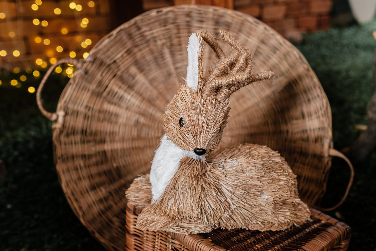Inspiração para festa infantil lúdica de 1 ano no Rio de Janeiro com o tema Jardim das Fadas. O aniversário aconteceu no espaço O quintal no Rio de Janeiro, Recreio dos Bandeirantes. A Fotógrafa infantil Jaque Salles foi a responsável pelas belas imagens.