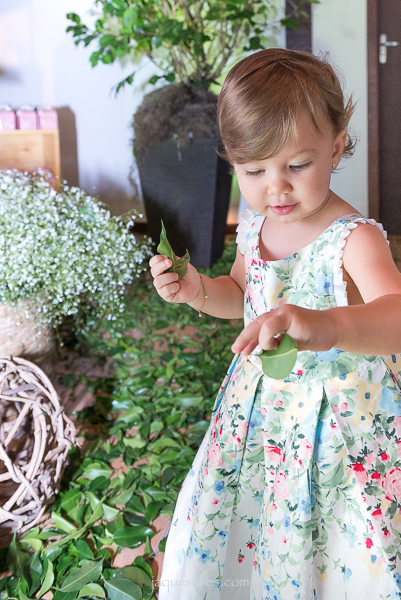 aniversário na serra