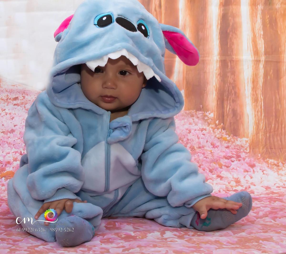 fantasia de Stitch é um personagem fictício da franquia Lilo & Stitch da 