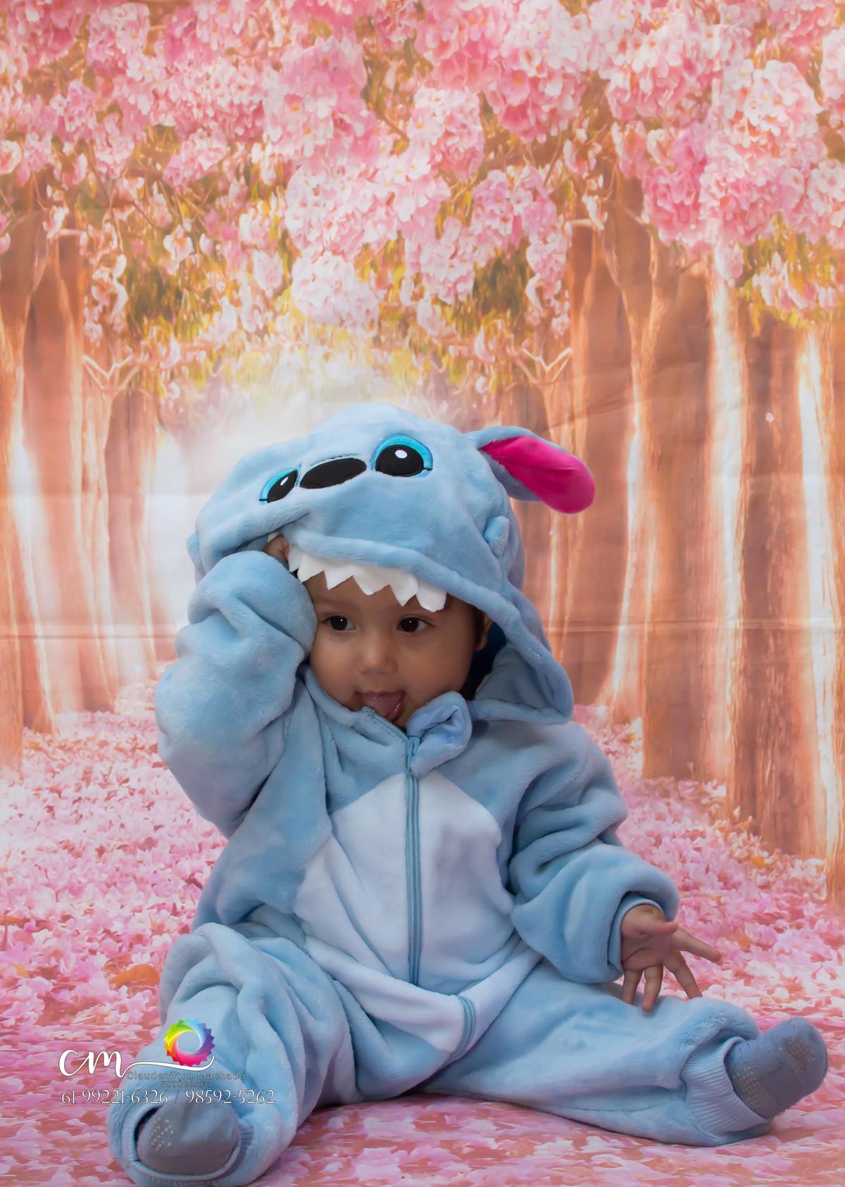 fantasia de Stitch é um personagem fictício da franquia Lilo & Stitch da Disney.