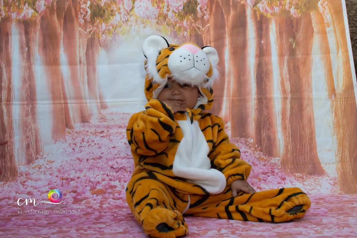 mamíferos tigre: O tigre [feminino: tigresa] é um mamífero carnívoro da família dos felídeos, que habita o continente asiático.