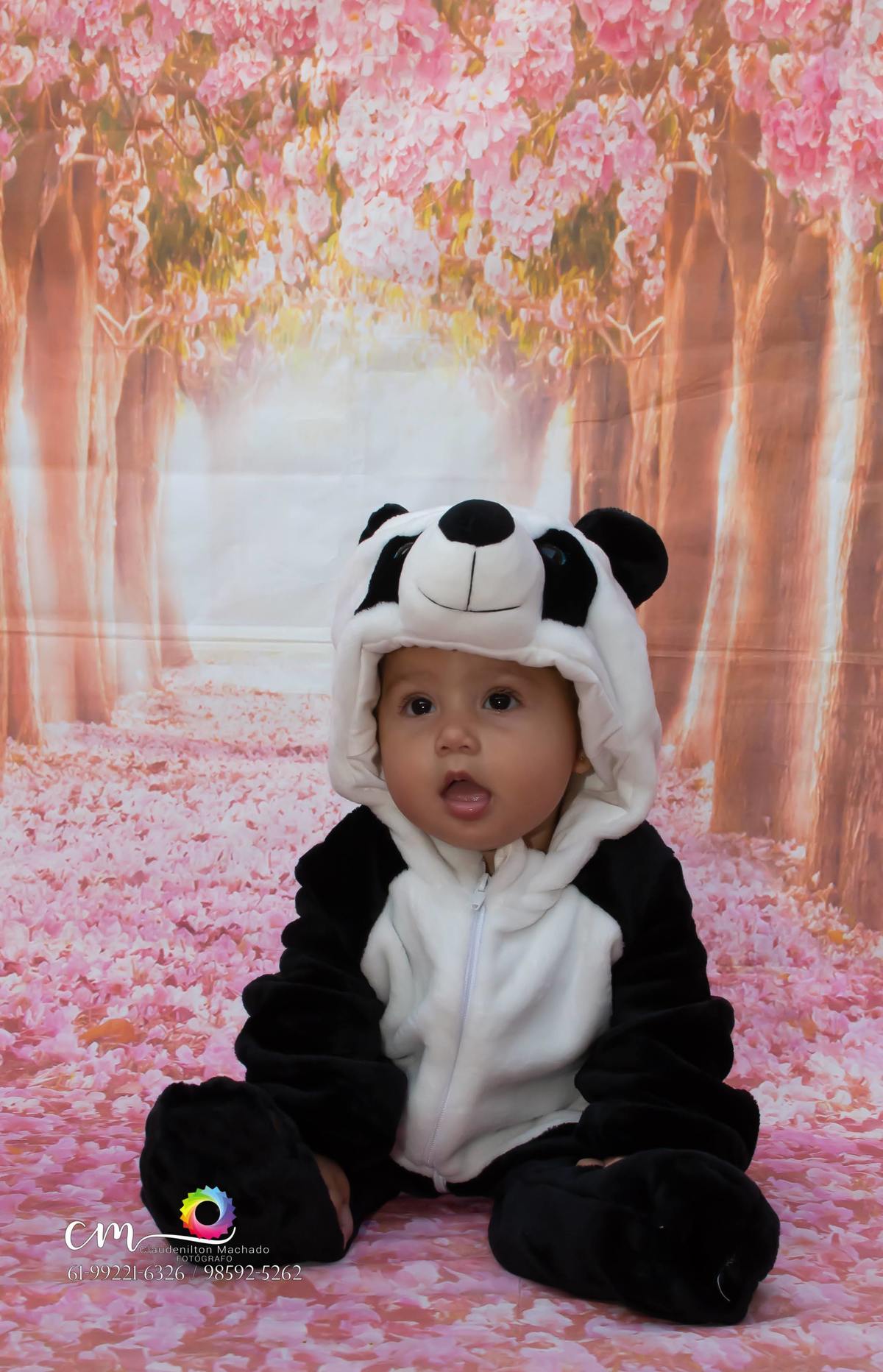 mamíferos urso panda O panda-gigante é um mamífero omnívoro da família Ursidae endêmico da República Popular da China