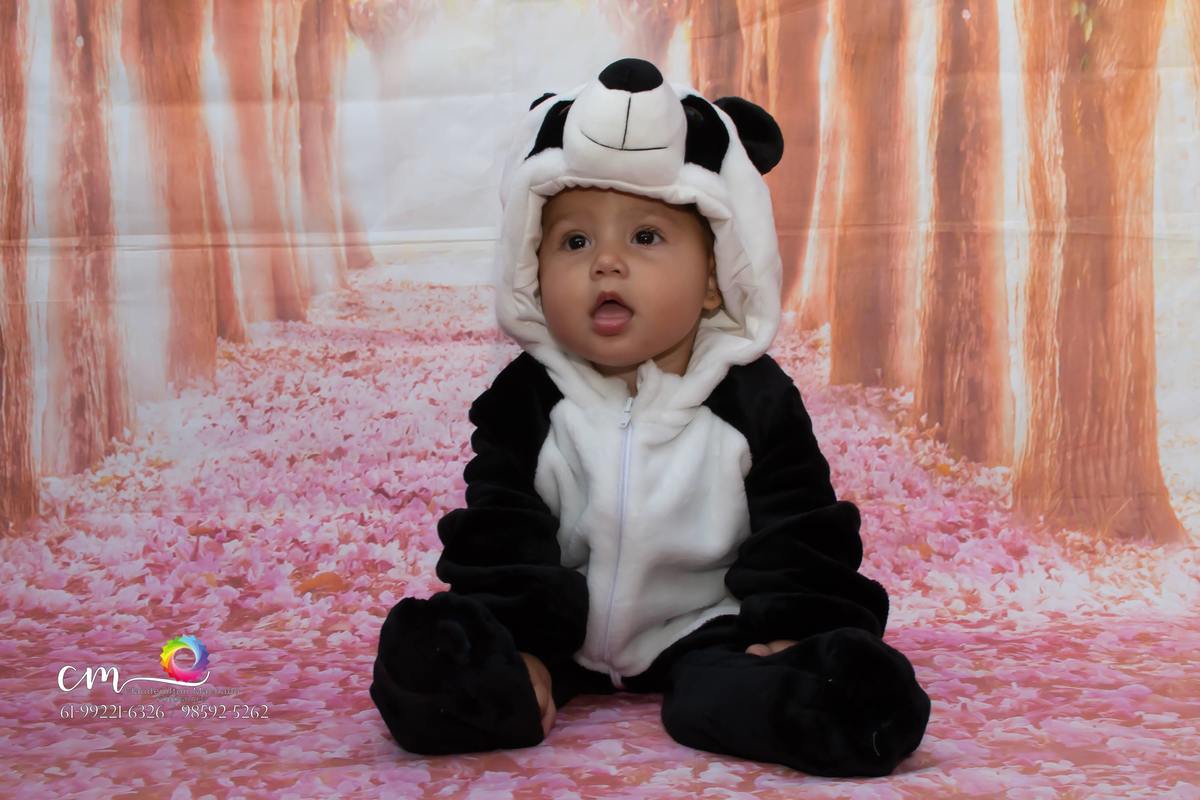 mamíferos urso panda O panda-gigante é um mamífero omnívoro da família Ursidae endêmico da República Popular da China