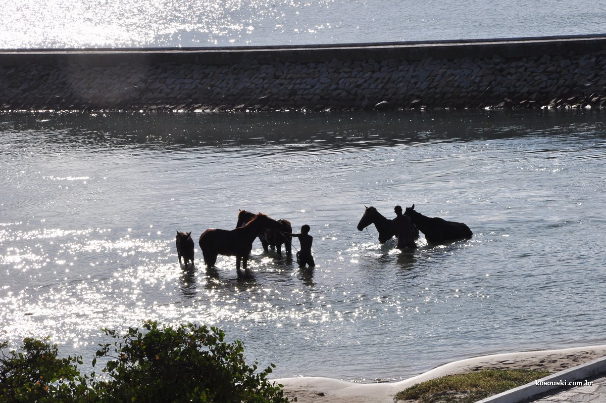 forte dos 3 reis magos Natal-RN