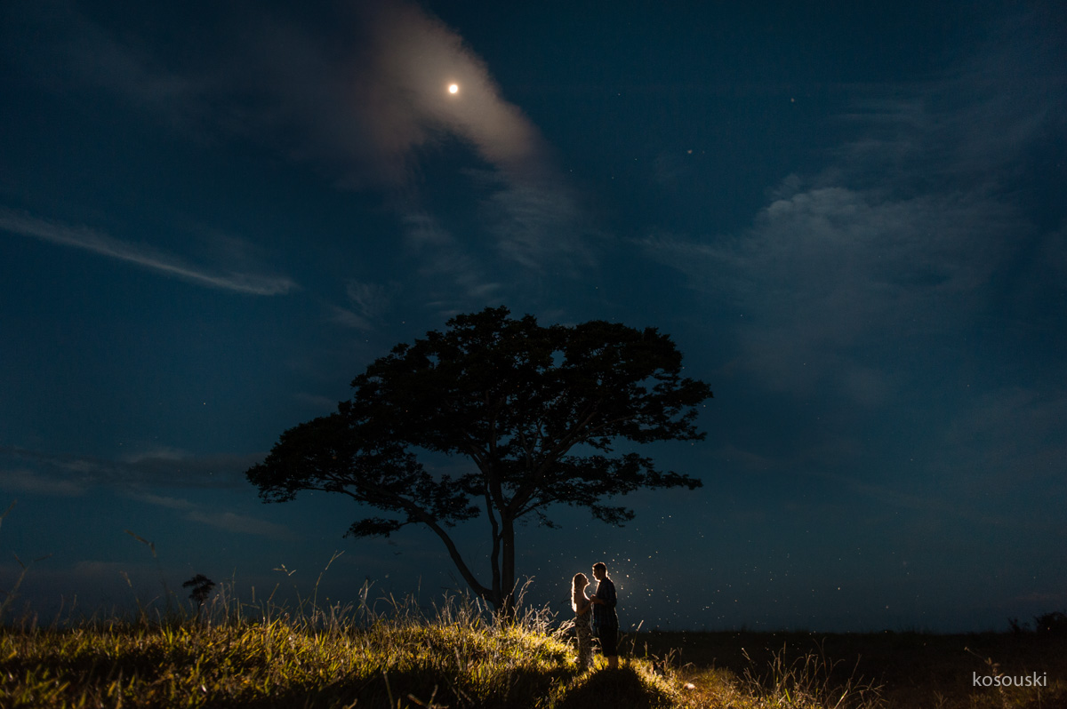 arvore linda, luz do luar