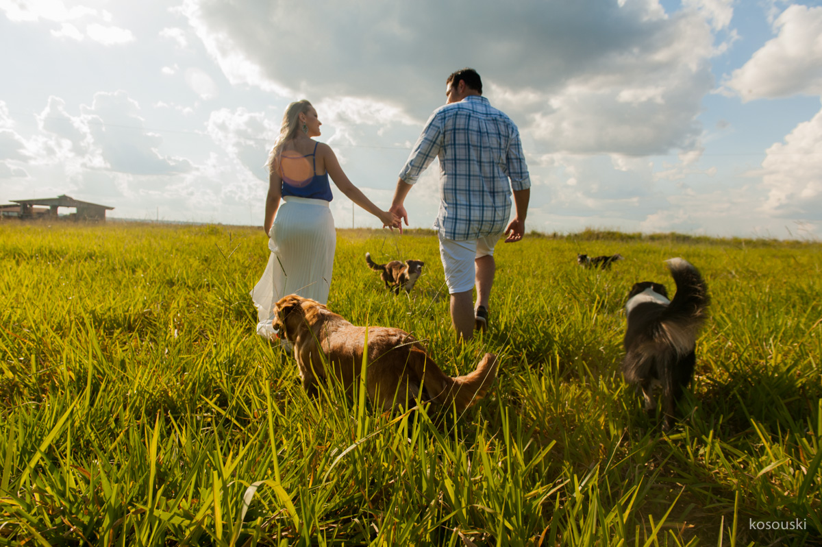 pre casamento com cachorros