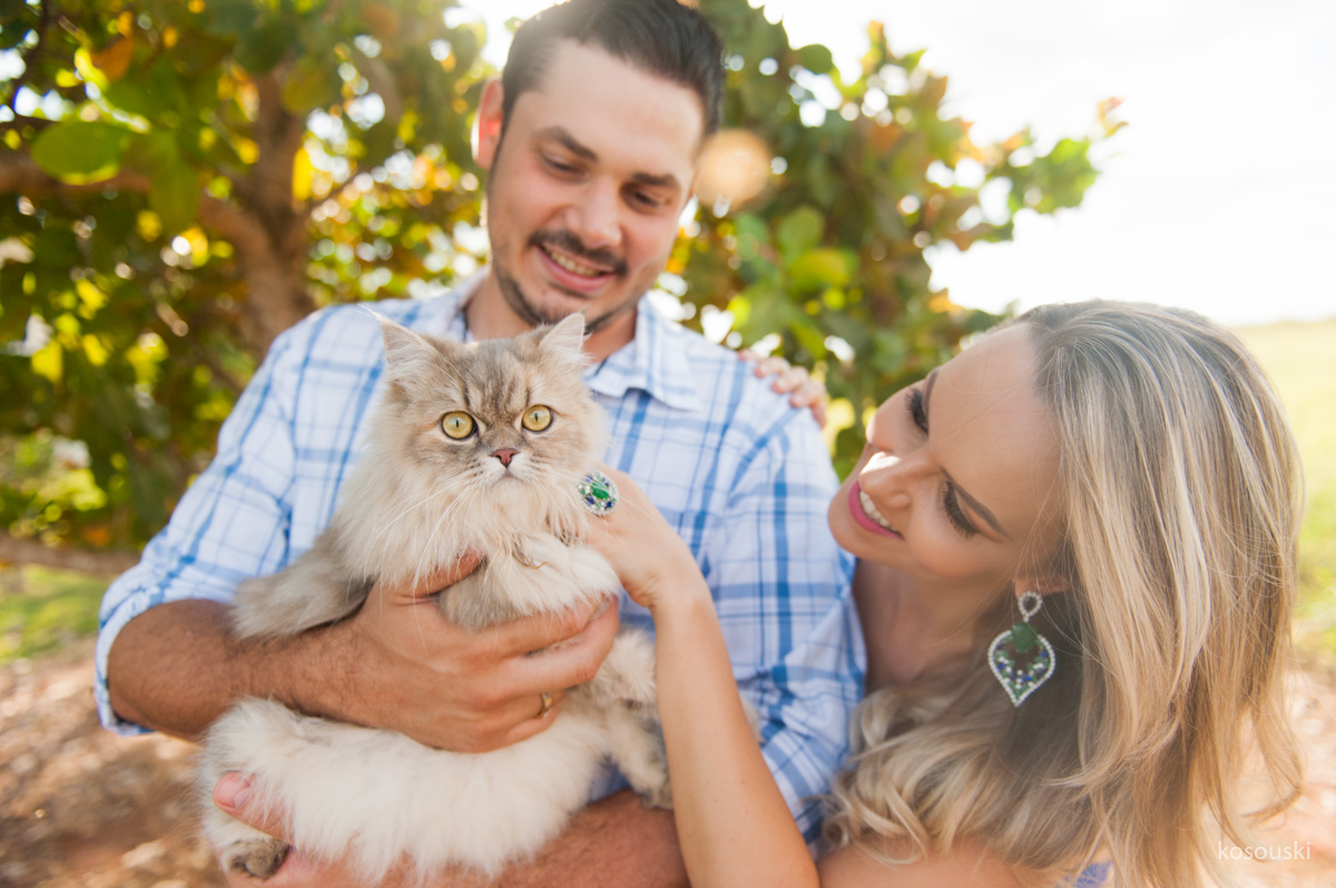 pre casamento com gatos