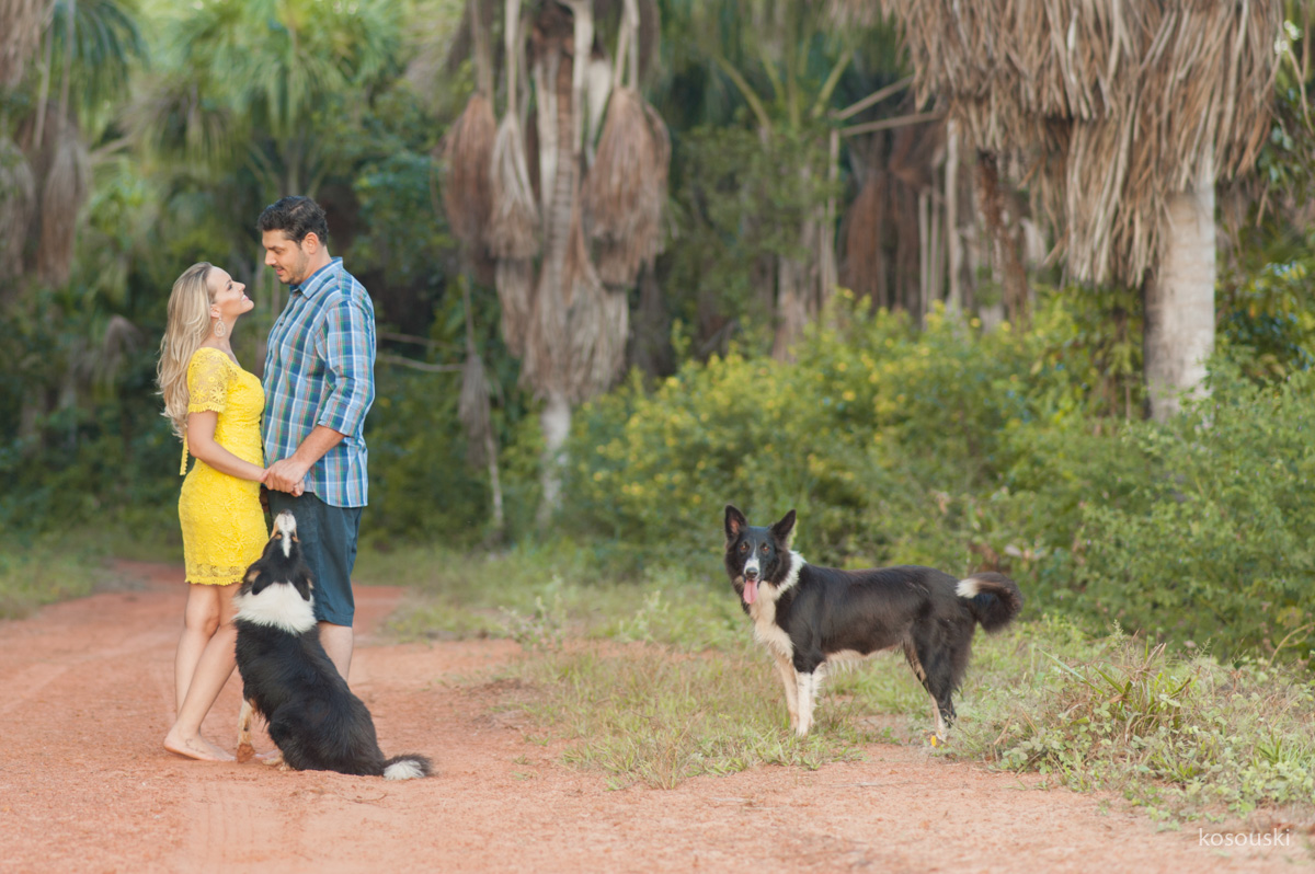 pre casamento com cachorros