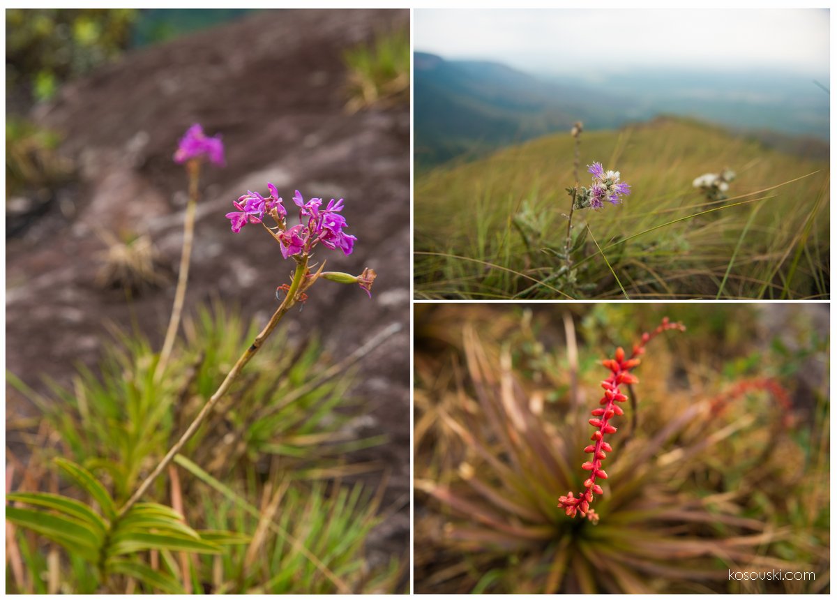Chapada dos Guimaraes MT, Resort Atmã, fotografos de Cuiaba, fotografos em chapada dos guimarães, fotos lindas em chapada dos guimarães, vestido de noiva, casamento em chapada dos guimarães mt, lugar pra casar em chapada dos gu