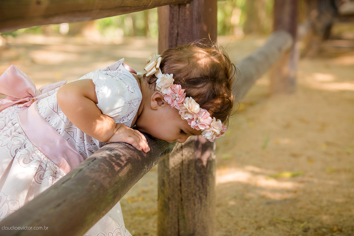 Book, book infantil, fotos infantis, fotos de criança, smash the cake, fotos es, fotografo es, fotografo vila velha, fotografo vitória, fotografo guarapari, fotografo serra, fofura, fotos fofas, cute, bolo, parque da vale, bola azul, miguel,