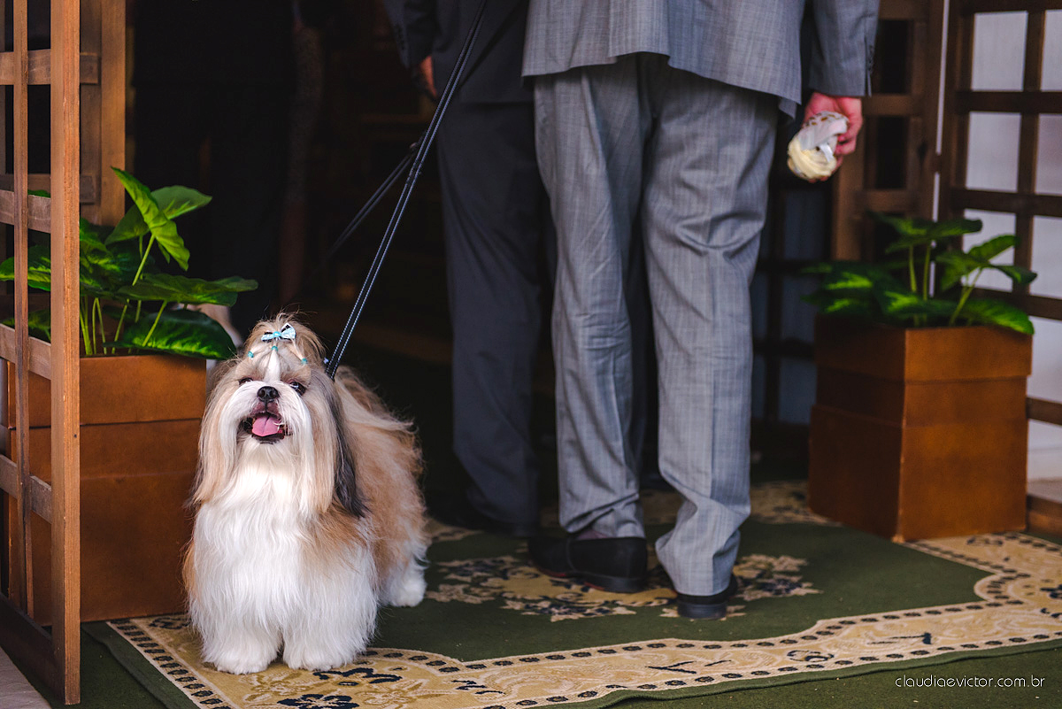 Lindo casamento realizado no cerimonial Casa di Lucca praia com noivo e noiva e vestido de noivo, cachorrinhos e pista de dança por fotógrafos de casamento de Vila Velha fotógrafos de casamento de Vitória fotógrafos de casamento de Serra ES