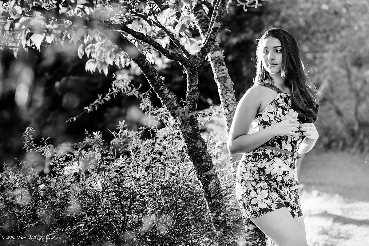 Lindo ensaio de 15 anos realizado por fotógrafos de casamento de vila velha fotógrafos de casamento de vitória fotógrafos de casamento de serra espirito santo ES em pedra azul na pousada monte verde