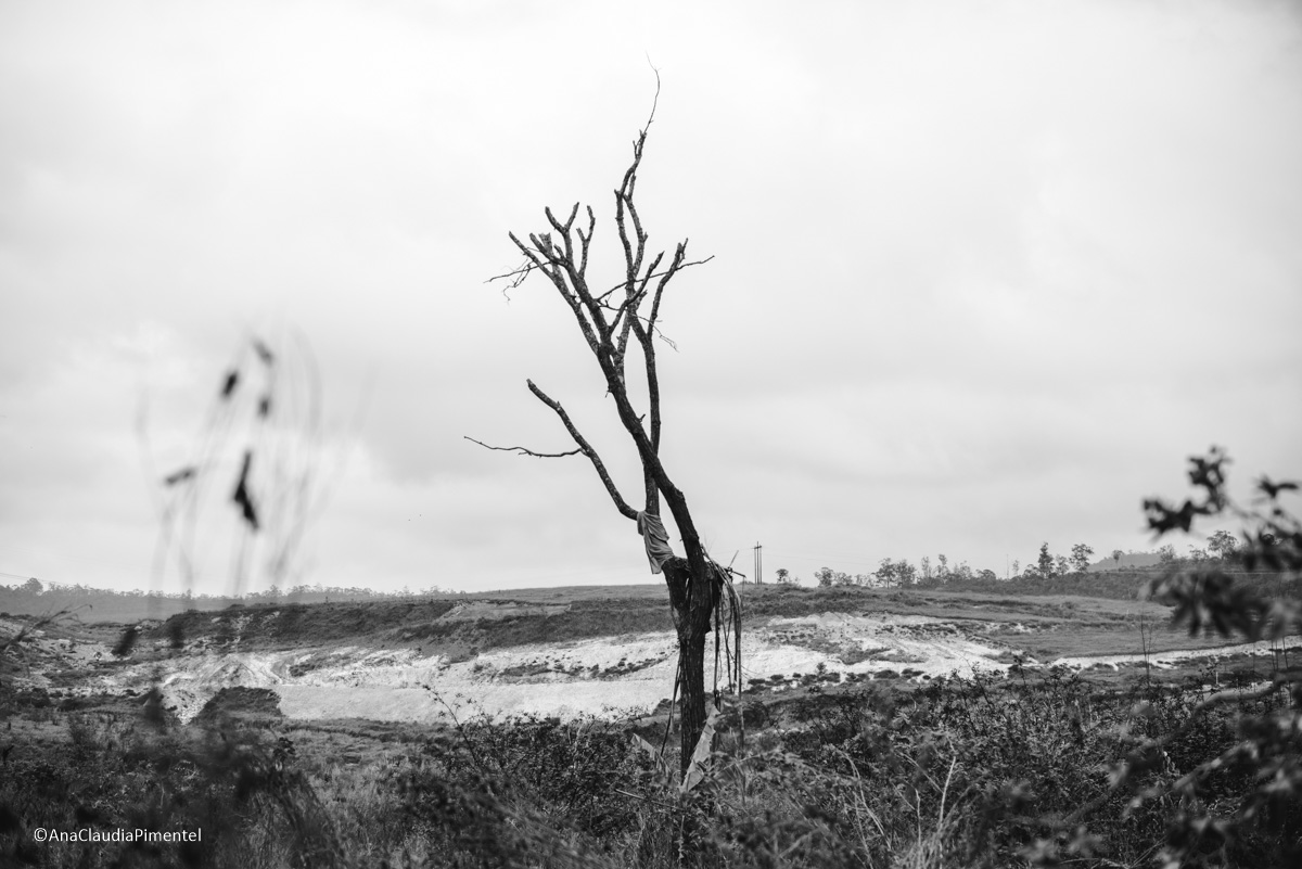 Fotos do rompimento da barragem da Samarco em Mariana que atingiu o distrito de Bento Rodrigues MG com ruínas lama e destruição