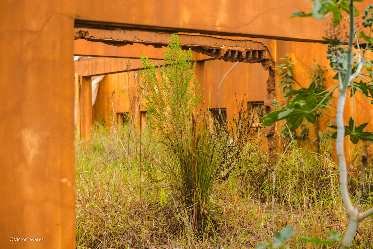 Fotos do rompimento da barragem da Samarco em Mariana que atingiu o distrito de Bento Rodrigues MG com ruínas lama e destruição